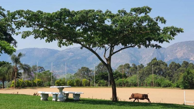 Benka Lifestyle Country Cottages 埃祖尔韦尼 外观 照片